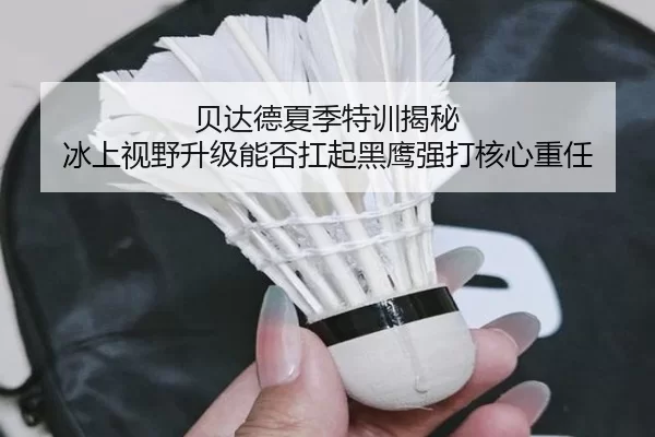 贝达德夏季特训揭秘 冰上视野升级能否扛起黑鹰强打核心重任