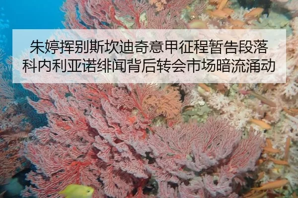 朱婷挥别斯坎迪奇意甲征程暂告段落 科内利亚诺绯闻背后转会市场暗流涌动